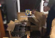 Percheziții domiciliare în Gorj. Polițiștii au confiscat 360 kg de articole pirotehnice