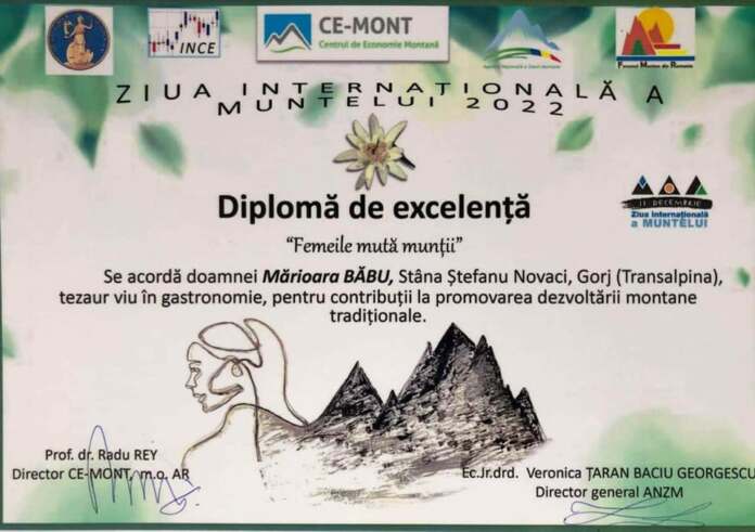 diploma Marioara Babu