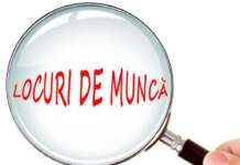 Schimbare majoră în topul salariilor din România: Activitățile de editare depășesc IT-ul și industria petrolului job, locuri de munca