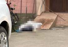 A căzut de la geamul apartamentului. A murit pe loc