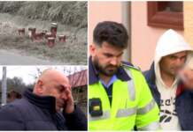 30 de zile de arest preventiv pentru finul primarului din Slivilești care a lovit mortal un om și a fugit Sursa foto observatornews.ro