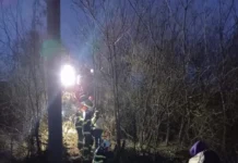 Plan roșu de intervenție: vagon al unui marfar a deraiat, iar un tren de pasageri a oprit brusc