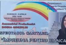 bilet spectacol caritabil