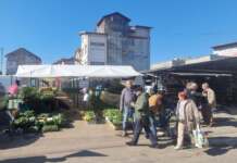 Revoltă în rândul producătorilor locali din Piața Centrală Tg-Jiu răsaduri piață