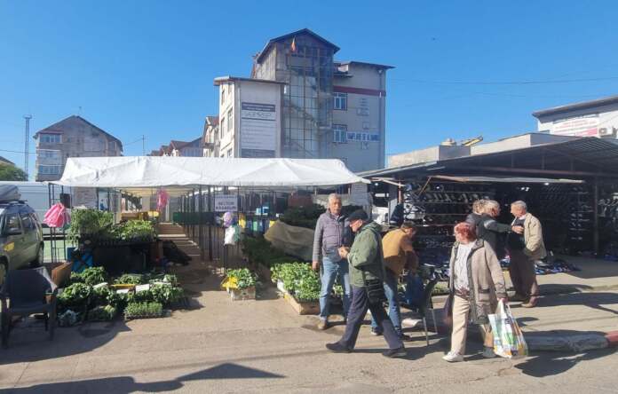răsaduri piață