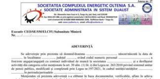 Adeverință CEO