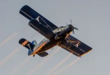 Dezinsecție aeriană urmează în Tg-Jiu. Când este programată aviotratament