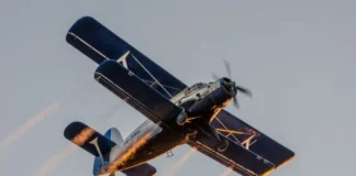 aviotratament