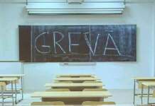 greva-profesori-salarii-prime-sindicate-educatie-836346