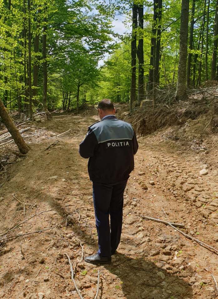 poliția lemne poliția lemne