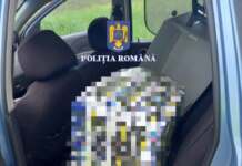 Mii de țigări netimbrate, confiscate în Stoina, Gorj țigări mașină