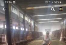 Imagini greu de privit, din padocul canin din Tg-Jiu câini padoc Tg-Jiu