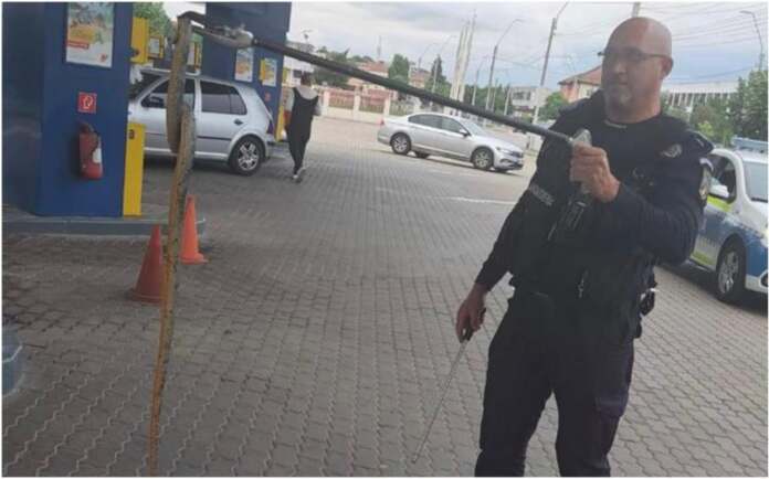 sarpe șarpe în benzinărie