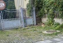 Bătaie de joc pe Calea Eroilor. Constructorul a dat bir cu fugiții. Cine va semna recepția