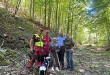 Bătrânul dispărut a fost găsit într-o pădure. Care este starea lui batran gasit, Gorj