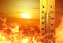 Restricții de circulație din cauza caniculei: Cod roșu de temperaturi extreme pe drumurile din 17 județe Cod roșu de epuizare termică în România