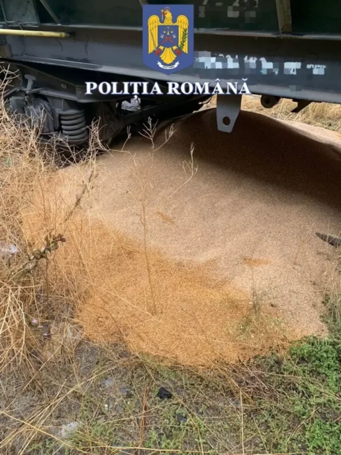 grau politia grâu furat