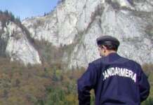 Amendă de 8.000 de lei aplicată de jandarmii montani pentru circulația cu tractorul forestier prin albia unui pârâu de munte