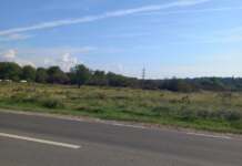 Cartier rezidențial în locul plantației de nuci de la Bârsești. Hectare de nuci defrișați