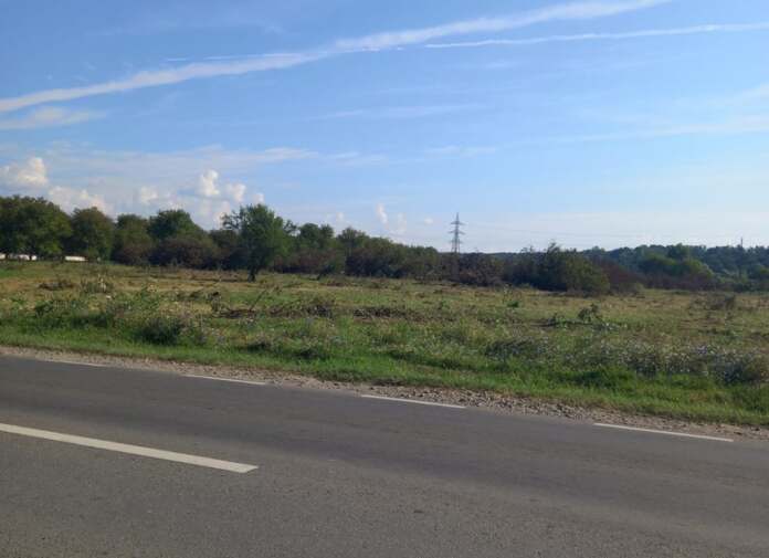 nuci tăiați