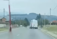 Video: Momentul în care patronul Cofetăriilor Sara lovește un biciclist