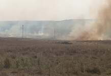 Video: Vegetația uscată din zona Narcise a luat foc. Pompierii intervin