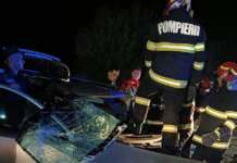 Video: Accident cu victimă încarcerată, la Brănești accident Branesti