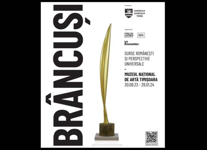 expozitie-brancusi-timisoara-1012x731 expoziție brâncusi