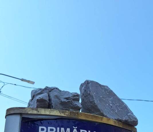 Bolovanii, ce-i cu bolovanii?