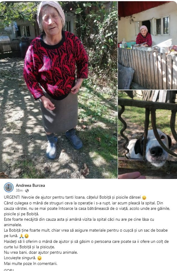 tanti bolnava tanti bolnava ajutor