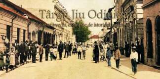 targu Jiu odinioara