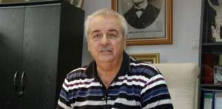 Viorel david