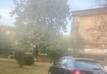 Cum se parchează mașinile într-un celebru Colegiu din Tg-Jiu. Au luat decizii care nu se respectă