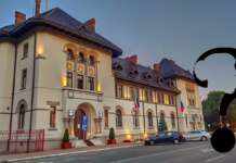 Vezi cine este consiliera personală a lui Marcel Romanescu care munceste, exclusiv de ACASĂ, pe un salariu imens