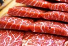 carne sintetica