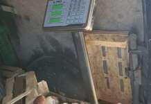 Poliția a confiscat CIUPERCILE culese de oameni din pădure