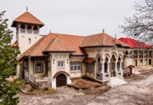 Unul dintre cele mai impresionante conace din regiunea Olteniei, scos la vânzare. Prețul este incredibil