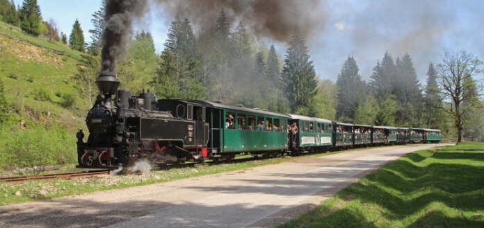 Moldovița