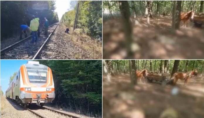 oi calcate de tren oi calcate de tren
