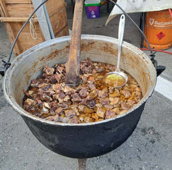tocan