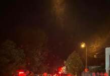 Carambol în zona Pișteștii din Deal. 7-8 mașini implicate