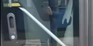 caine uitat in autobuz