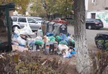Societatea Polaris amendată pentru că nu a ridicat gunoiul dintre blocuri