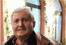 PĂTRU PANTELICĂ