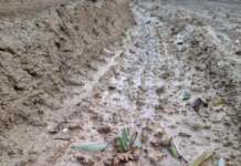 În cel hal arată drumurile din Stănești. Nămolul aproape de genunchi