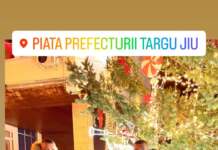 Maria Constantin a venit la Târgul de Crăciun de la Tg-Jiu