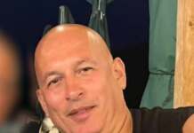 cornel dinicu, ferma dacilor