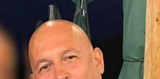 cornel dinicu, ferma dacilor