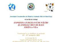 expoziție de păsări