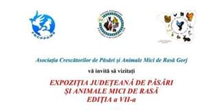 expoziție de păsări